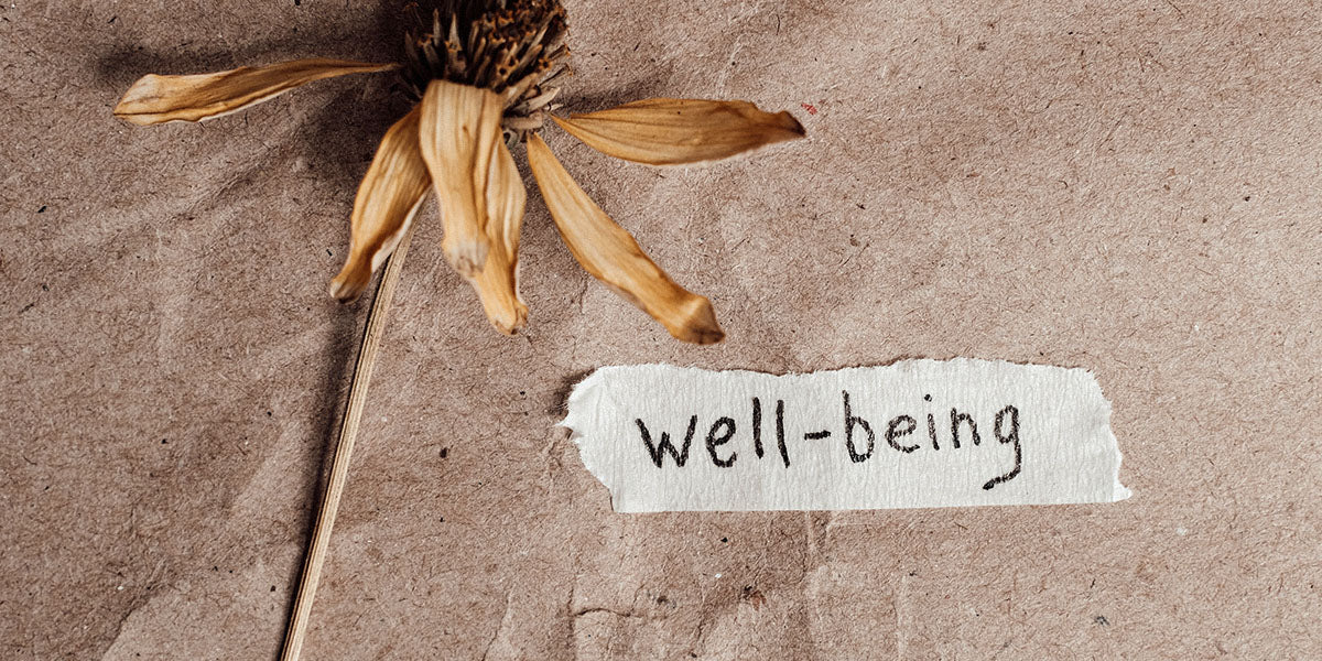 a dried flower on brown paper, next to it a piece of adhesive tape with "well-being" written on it