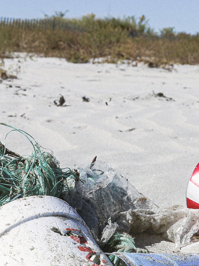 Microplastics - effects, problems and future scenarios - Interview with Benny Mandos (CEO of GOT BAG)