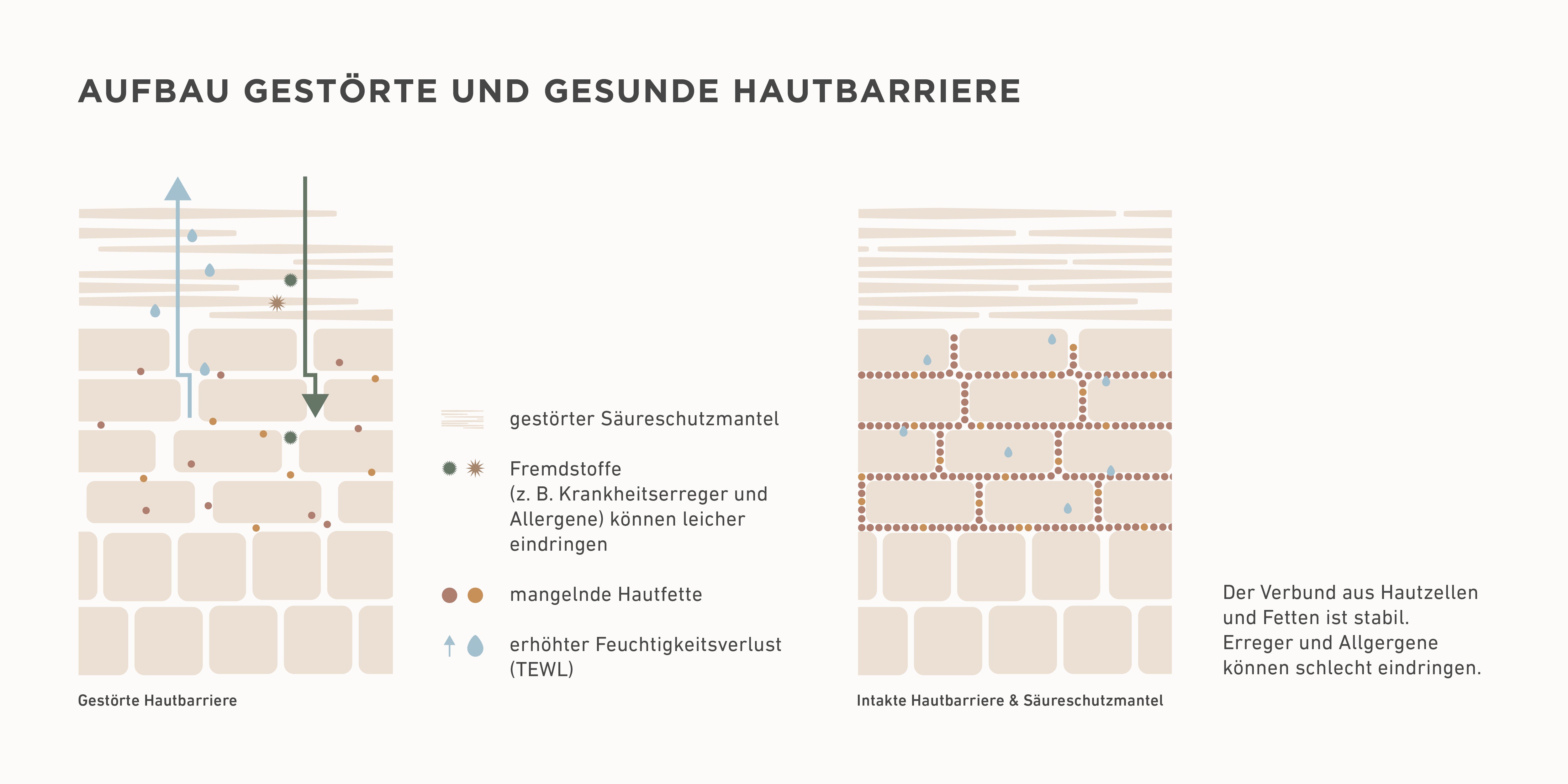 Graphic showing a disturbed skin protection barrier.